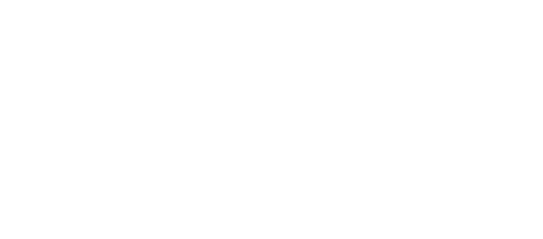 Stunts & Cars Logo